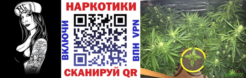 Купить наркотики цена Трубчевск Бошки Шишки МЕФ Гашиш