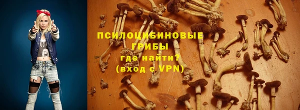 ПСИЛОЦИБИНОВЫЕ ГРИБЫ Алзамай